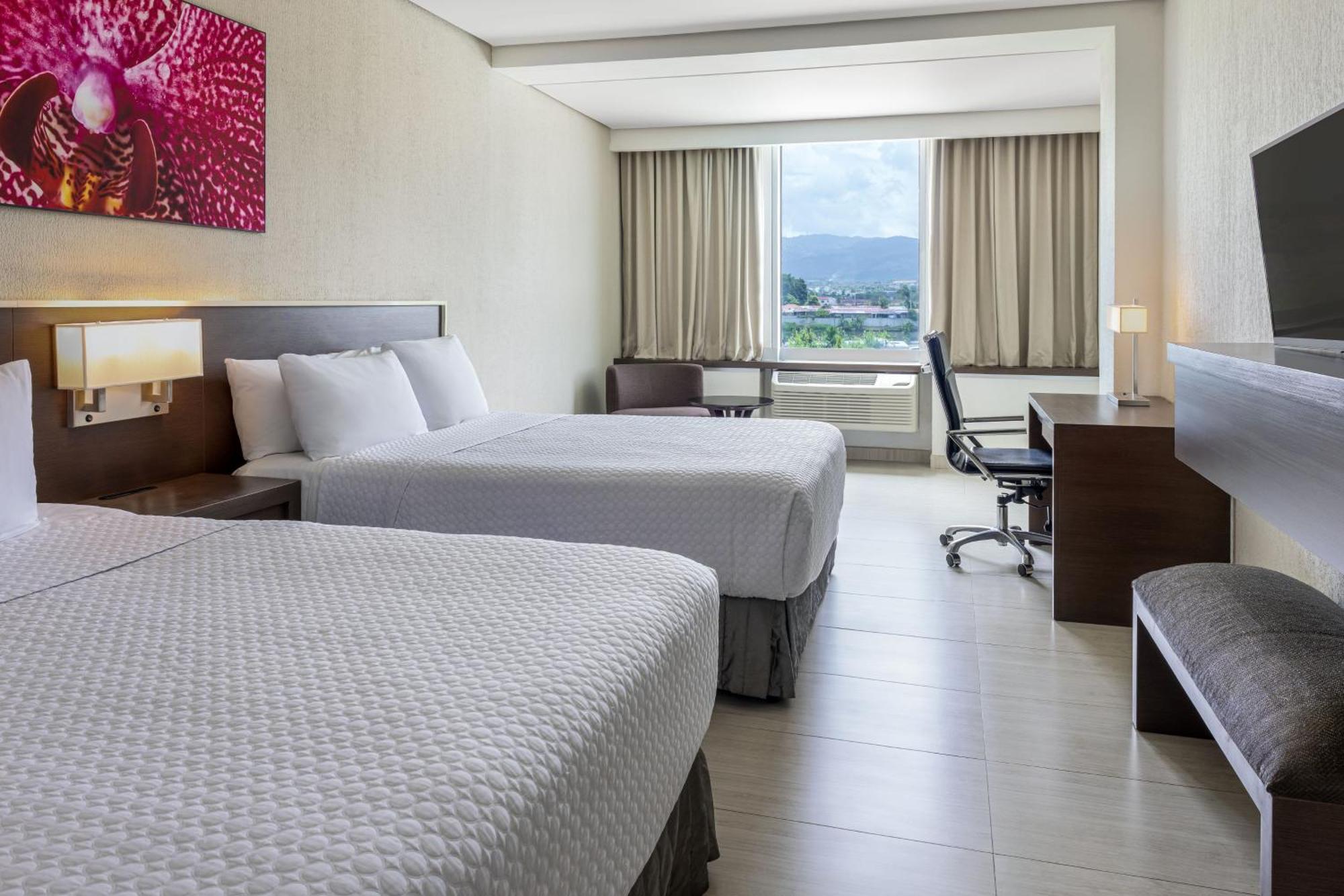 Standard Room,1278749446:JPEG